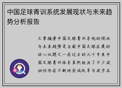 中国足球青训系统发展现状与未来趋势分析报告